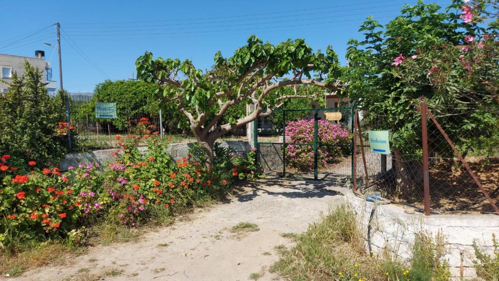 Agritourism Cottage Near Sitia Exterior photo
